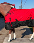 Weatherproof Winter Ready Turnout Blanket For Miniature Horses In Harsh Conditions