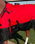 Durable Winter Waterproof Pony Turnout Blanket