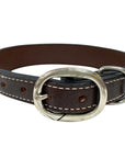 BAR H EQUINE Floral Belle Unicorn Hand Painted Western Leather Dog Collar Tan