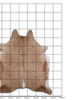 8 Ft X 7 Ft Genuine Brazilian Cowhide Skin Rug by Hilason | Hair-On Leather Home Décor Carpet