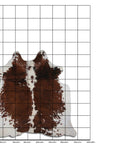 7 Ft X 7 Ft Genuine Brazilian Cowhide Skin Rug by Hilason | Hair-On Leather Home Décor Carpet