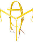 HILASON Western Horse Biothane Leather Headstall & Breast Collar Set