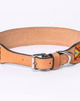 Hilason Western Style Heavy Duty Beaded American Leather Pet Dog Collar