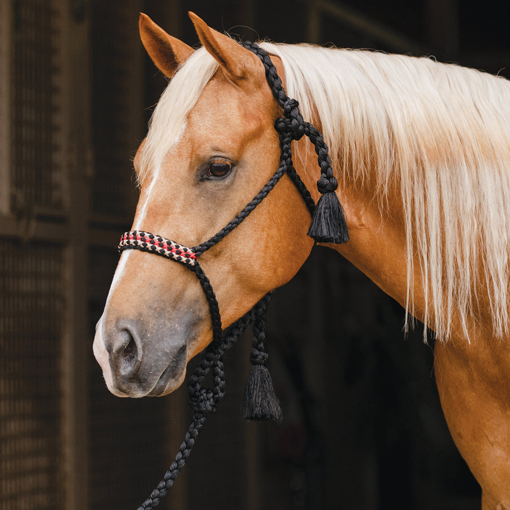 Professional's Choice Horse Cowboy Braided Woven Halter