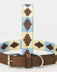 BAR H EQUINE Western Genuine Leather Dog Collar Embroidered  Beige & Light Blue