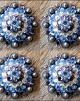 Western Screw Back Concho Iris Sapphire Berry Crystal Headstall Cowgirl