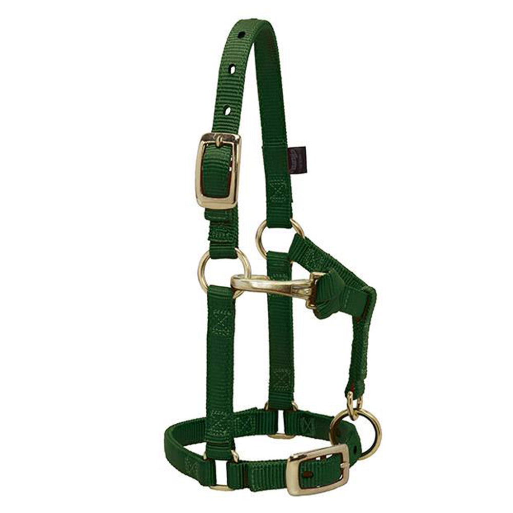 5/8 In Weaver Leather Miniature Horse Adjustable Chin &amp; Throat Snap Halter Hunter Green