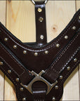 Large Leather Dog Harness Brown Genuine With Leash Hilason