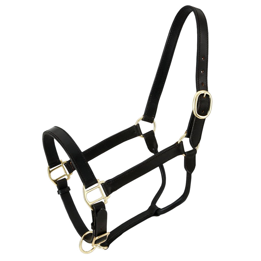 Royal King Western Horse Stable Genuine Leather Halter &amp; 1 Inch Width Black
