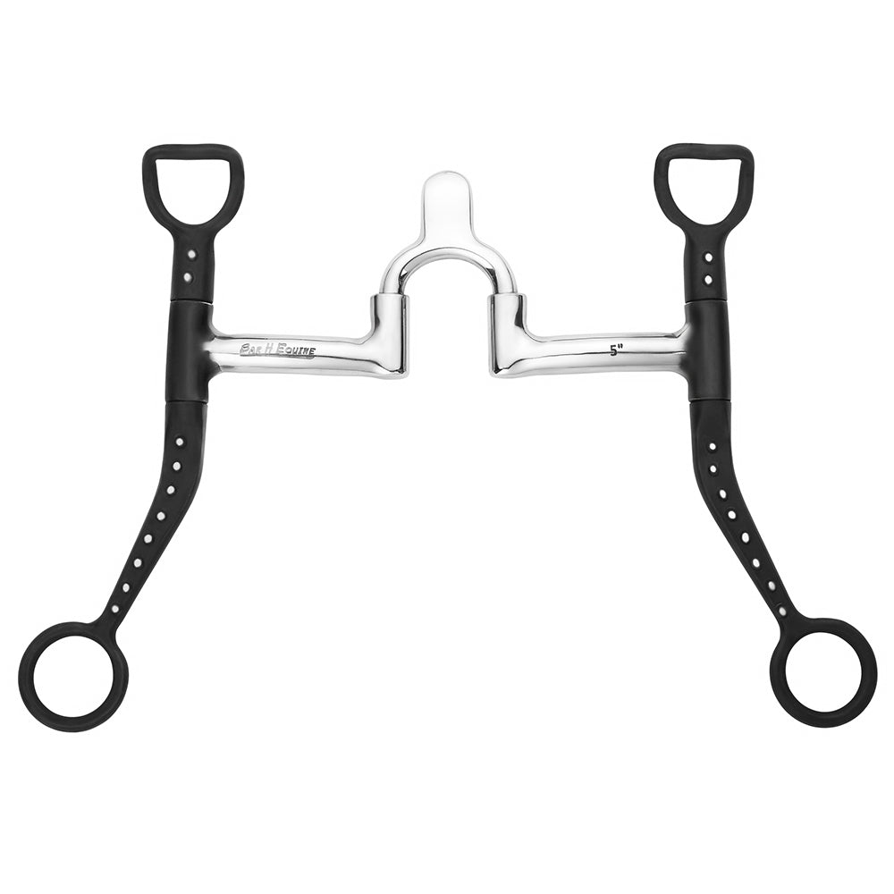 BAR H EQUINE Western Curb Bit with Silver Dotted Shanks &amp; Cathedral Port