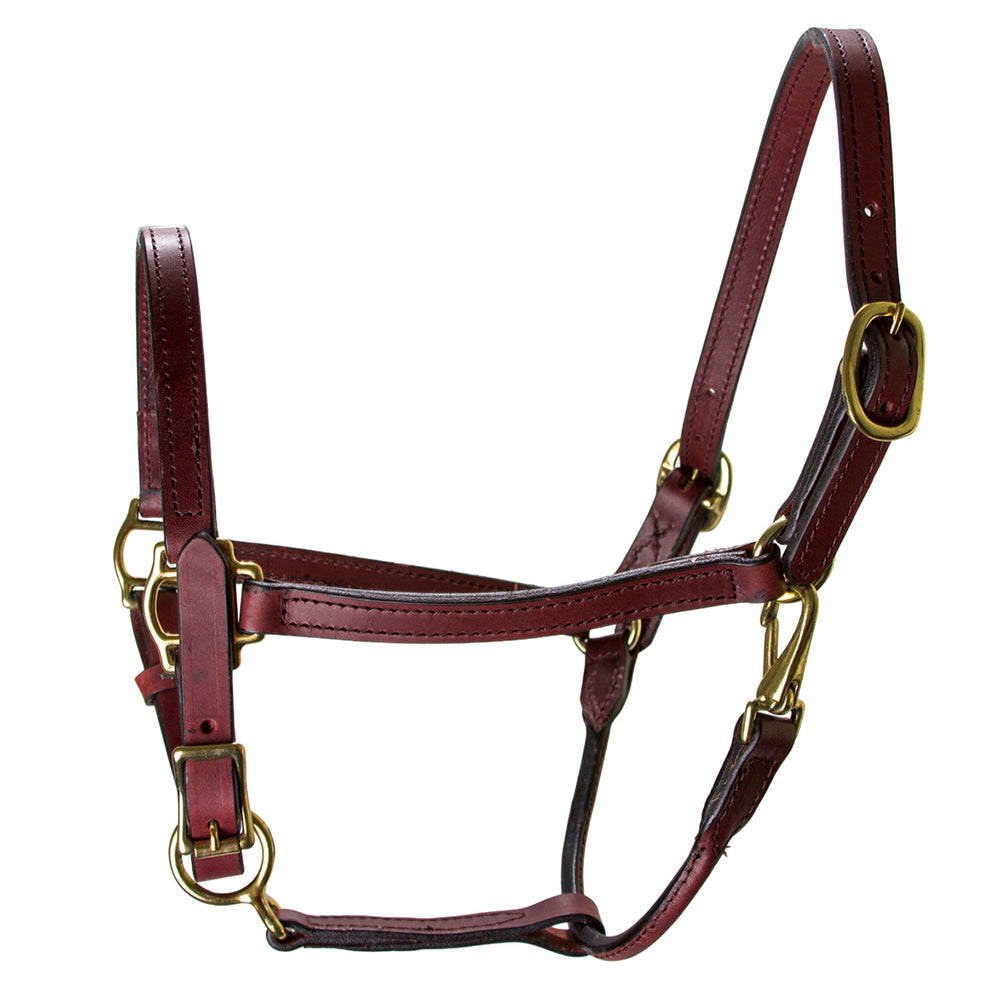 Hilason Western Horse Comfortable &amp; Flexible Halter 3/4 In Width Genuine Leather
