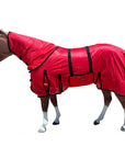 HILASON Horse Fly Sheet UV Protect Breathable Mesh Bug Mosquito Spring | Summer Horse Rug | Fly Rug