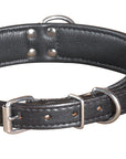 Hilason Heavy Duty Handpainted Genuine Leather Dog Collar Black with buckstich
