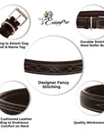 ExionPro Fancy Stitched Padded Leather Dog Collar - Conker Padding