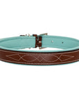 ExionPro Fancy Stitched Padded Leather Dog Collar - Sky Blue Padding