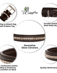 ExionPro Silver Clincher Padded Leather Dog Collar - Brown Padding