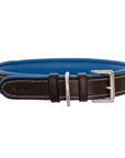 ExionPro Silver Snaffle Padded Leather Dog Collar - Blue Padding