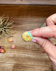 Small Ring - Size 8 1/2 - Ribbon Turquoise & Sterling Silver