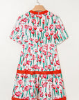 Floral Contrast Trim V-Neck Babydoll Dress