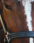 ExionPro Fancy Stitched Leather Halter - Brass Nickel Hardware