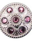 Western Screw Back Concho1 Purple Crystal Wheel Bling Headstall Cowgirl