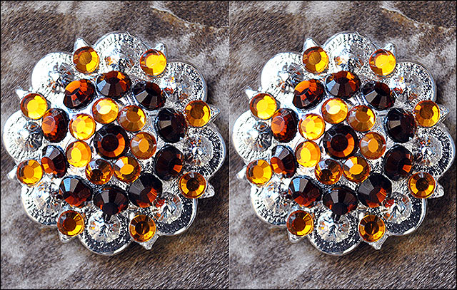 Brown Crystals Berry Bling Headstall Tack Hilason