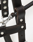 HILASON Guide Dog Harness Brown Padded Genuine Leather with Handle Brown | Dog Harness with Adjustable Straps | Dog Harness with Handle for Training | Breathable Dog Harness | Therapy Dog Harness