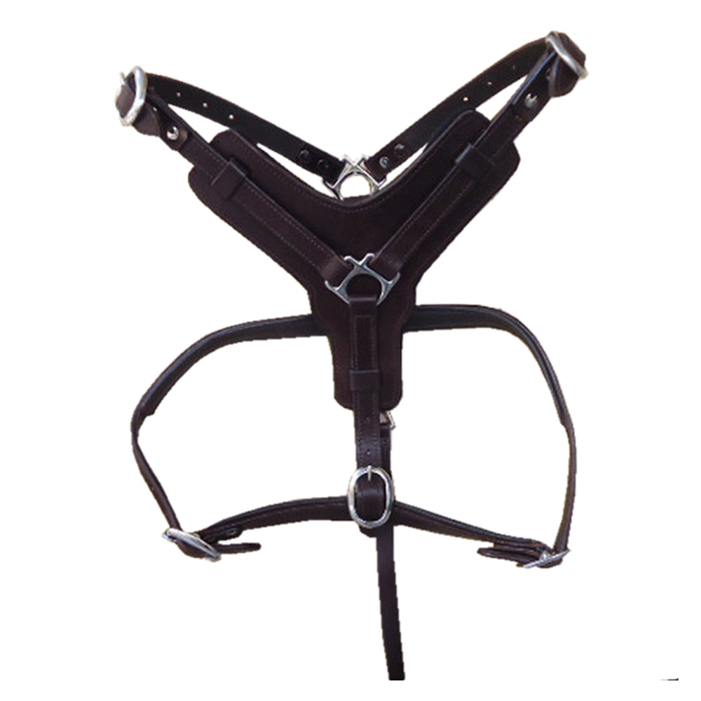 Sml Hilason Western Padded Dog Harness Genuine Leather Stainless Steel Black
