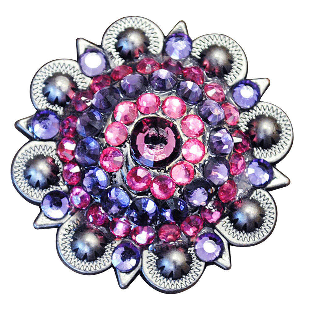 HILASON Western Screw Back Pink &amp; Purple Rhinestone Crystal Bling Berry Concho