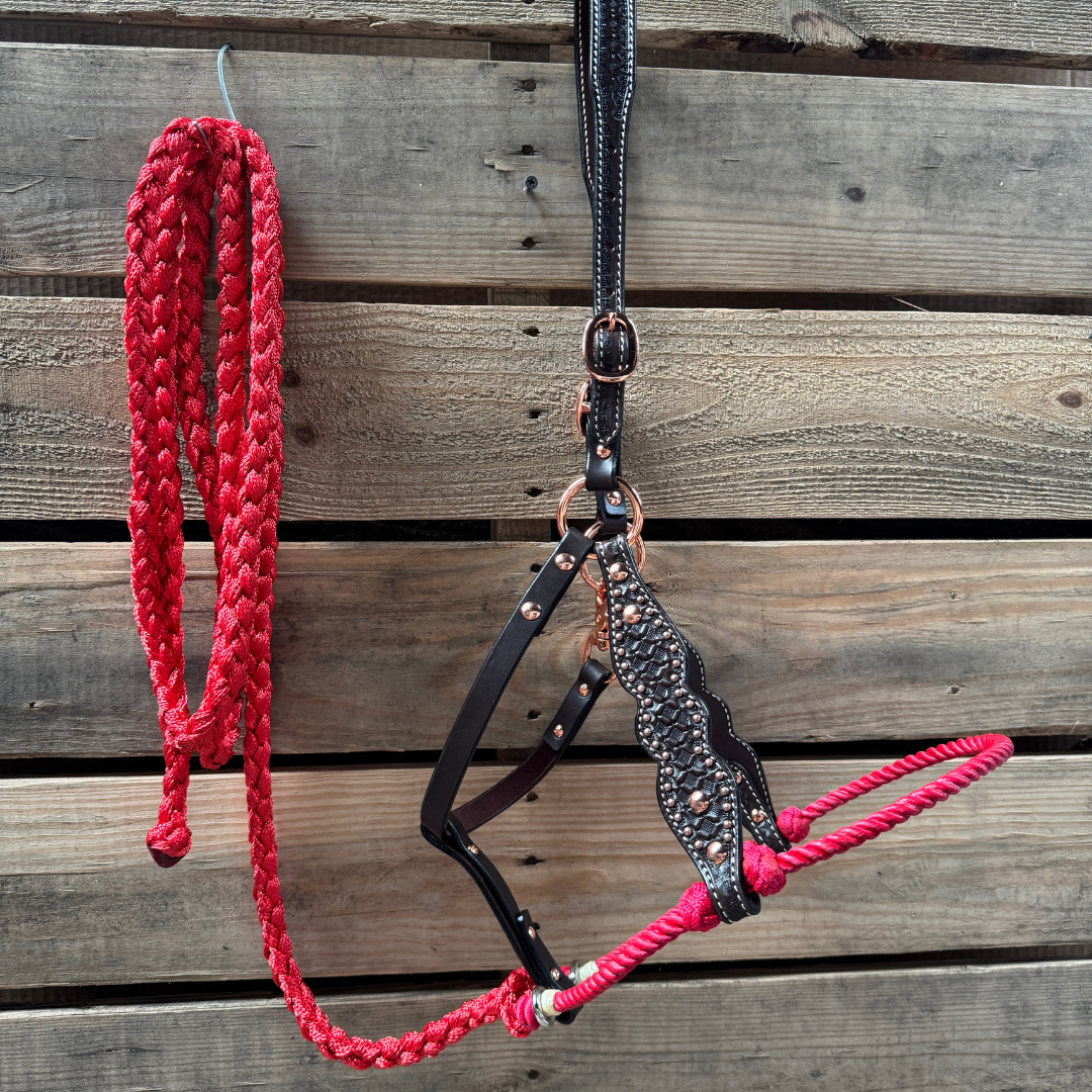 Red Honeycomb Tooled Lariat &amp; Leather Combo Halter