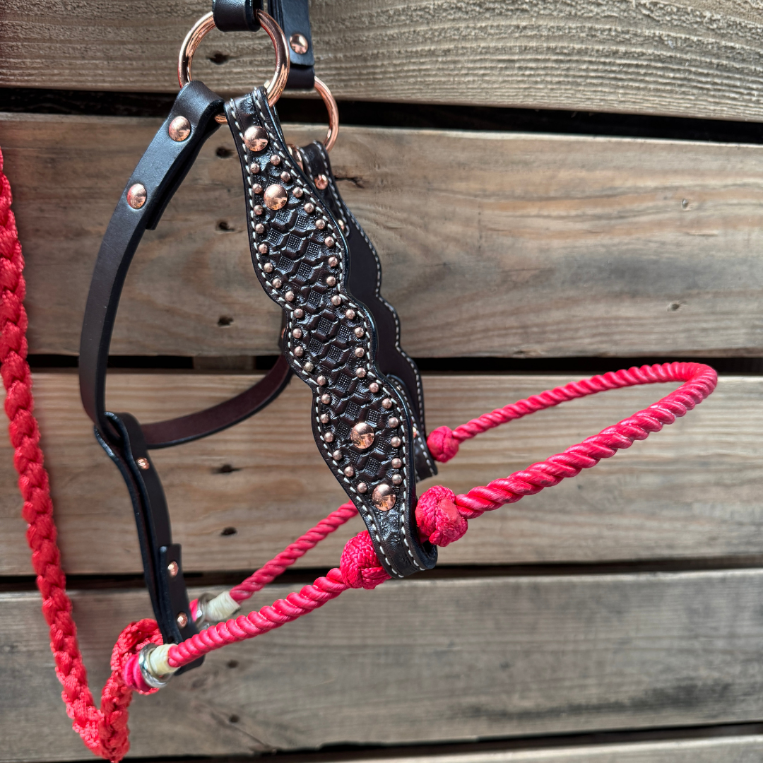 Red Honeycomb Tooled Lariat &amp; Leather Combo Halter