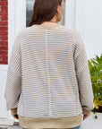 Vanessa Knit Ribbed Trim Long Sleeve PLUS Top