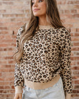 Leopard Contrast Trim Dolman Sleeve Sweater