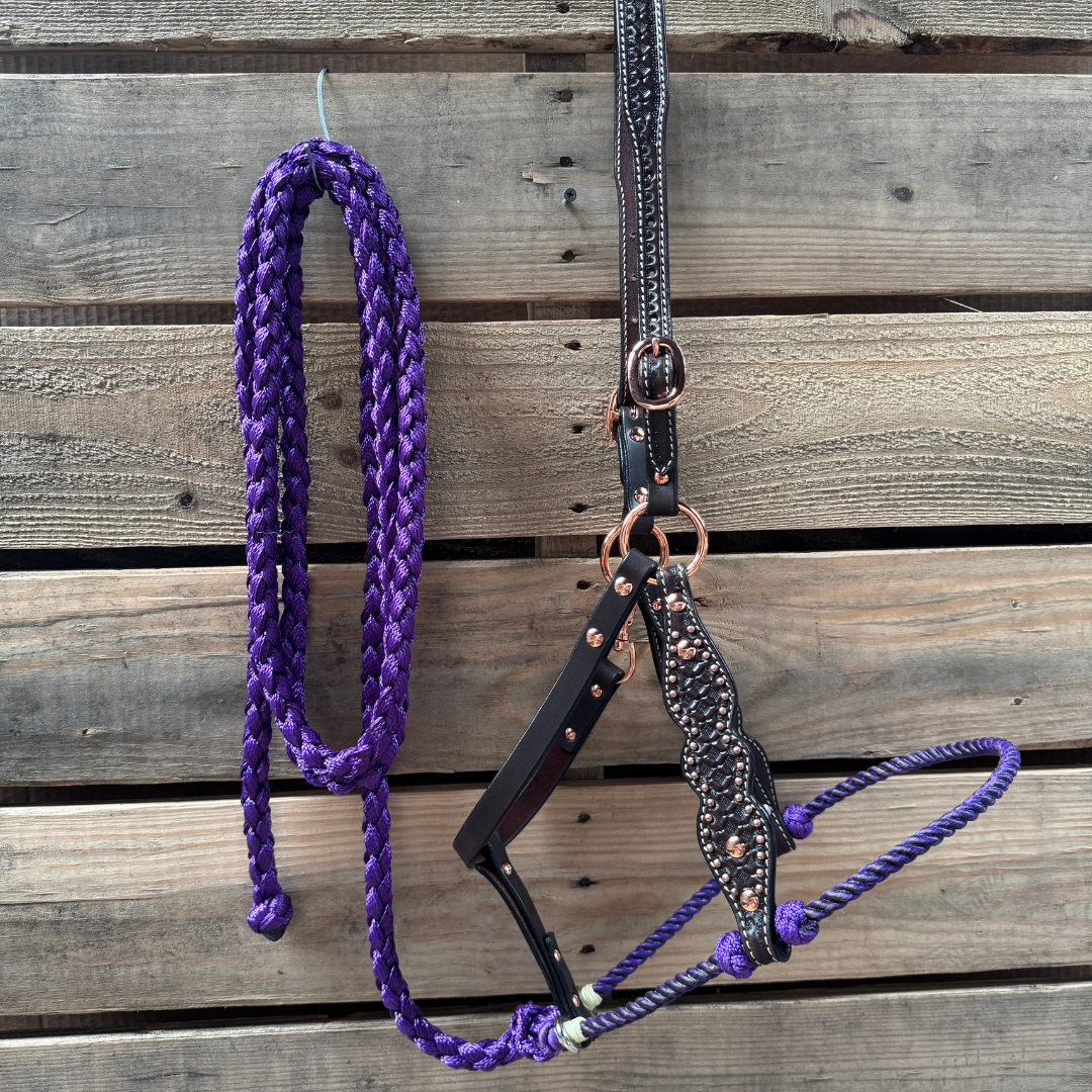 Purple Honeycomb Tooled Lariat &amp; Leather Combo Halter