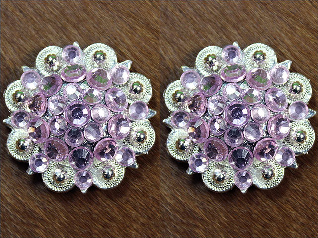Rose Crystals Berry Headstall Saddle Tack Cowgirl Hilason