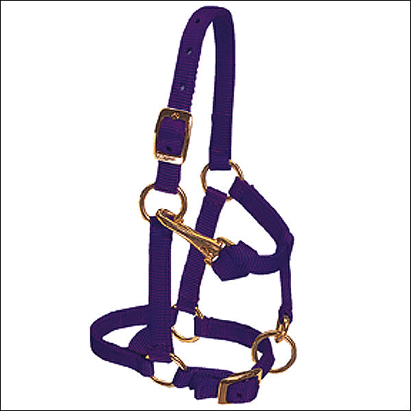 Weaver Purple Large Nylon Miniature Horse Adjustable Chin &amp; Throat Snap Halter