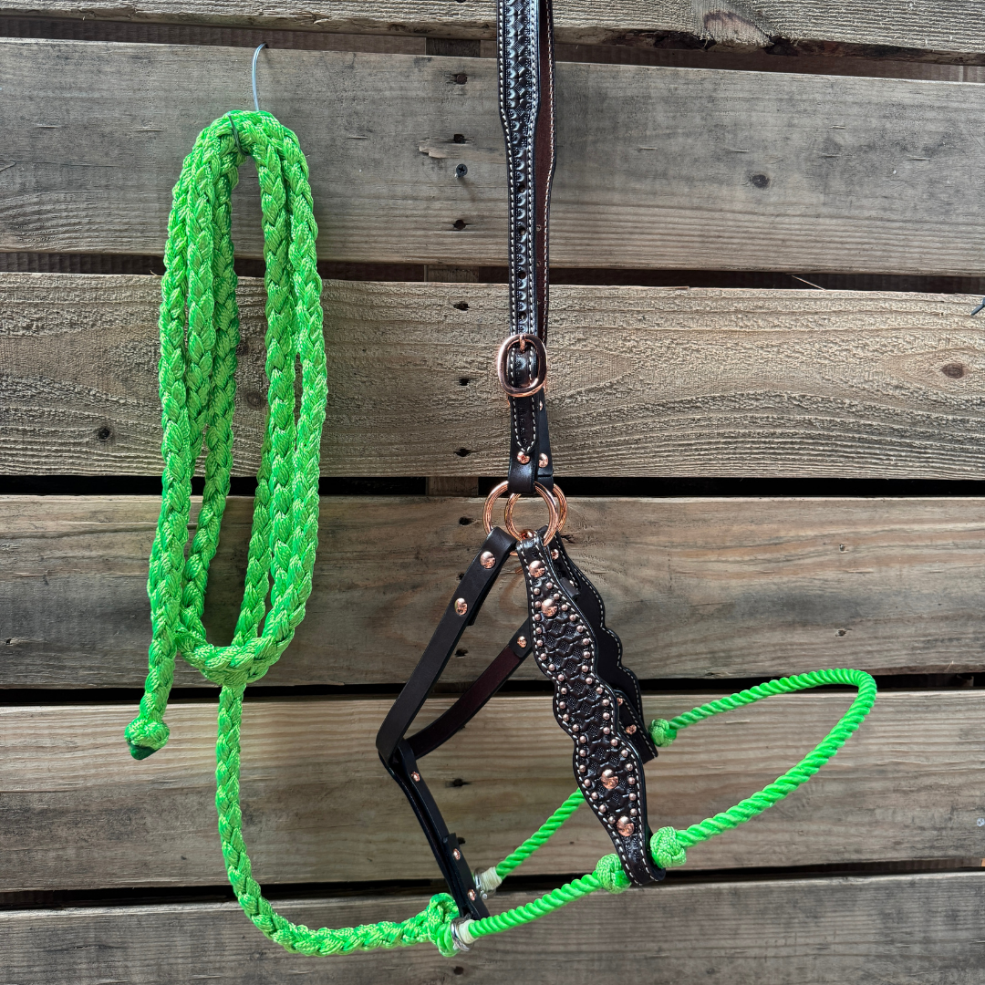 Lime Honeycomb Tooled Lariat &amp; Leather Combo Halter