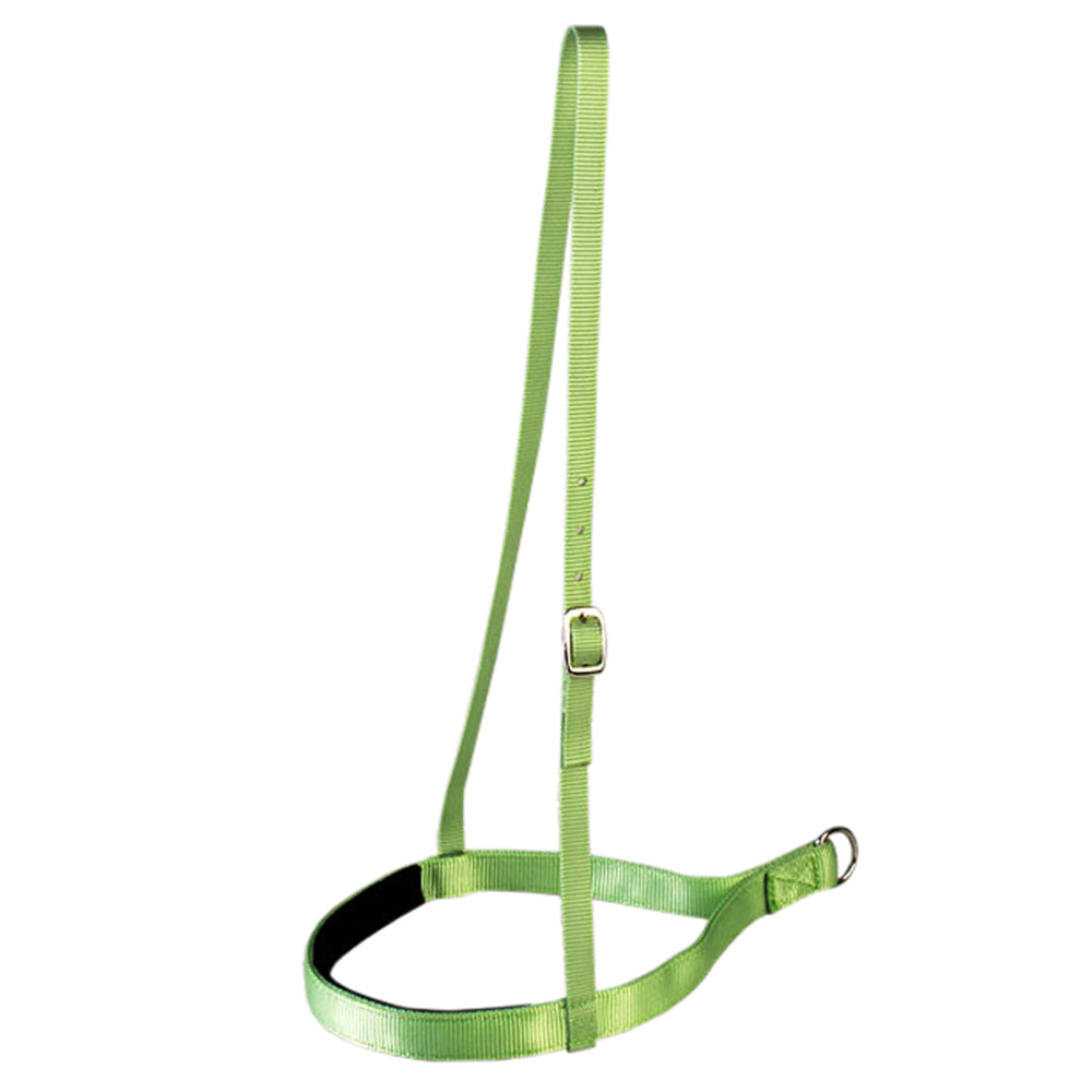 New Lime Hilason Western Tack 1 Inch 2 Ply Nylon Horse Noseband