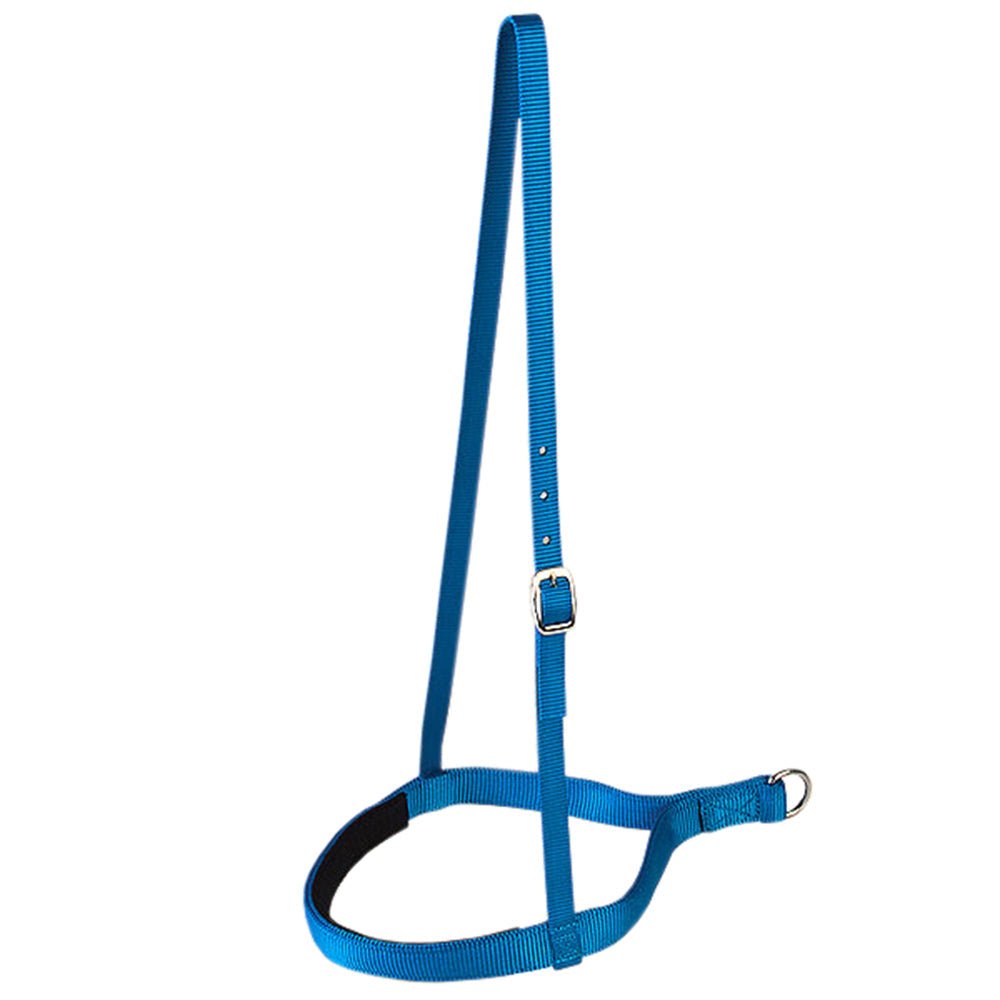 Hilason W. Double Ply H. Nylon Noseband Black – Hilason