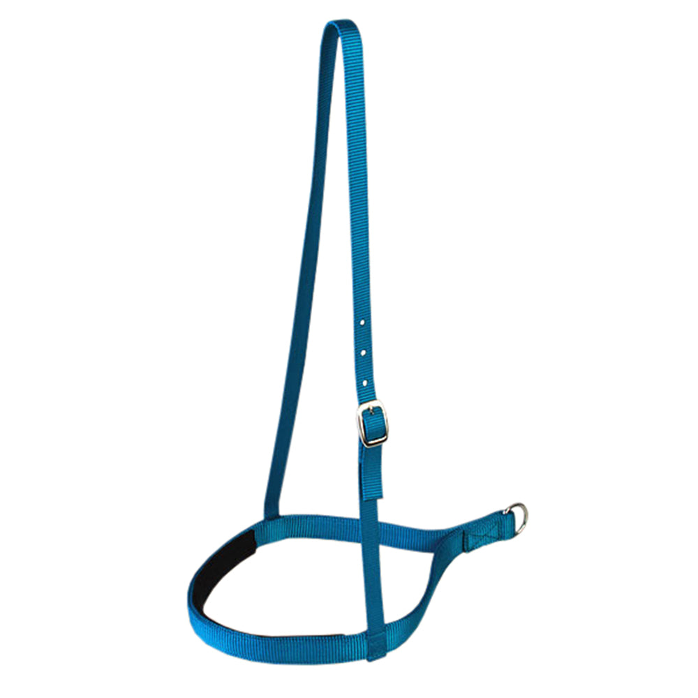 New Turquoise Hilason Western Tack 1 Inch 2 Ply Nylon Horse Noseband