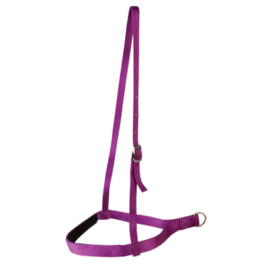 New Pink Hilason Western Tack 1 Inch 2 Ply Nylon Horse Noseband