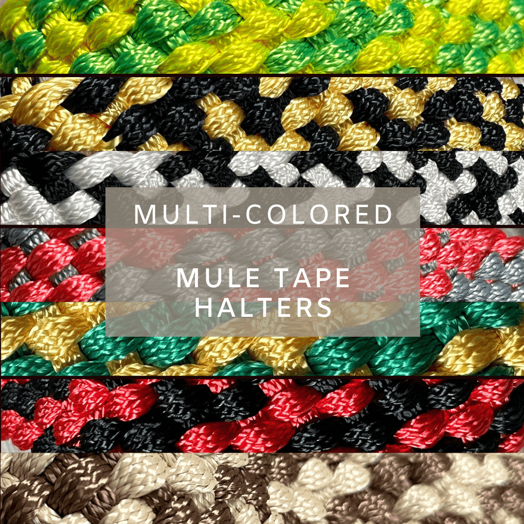Mule Tape Halters - Two Tone Assorted Colors-