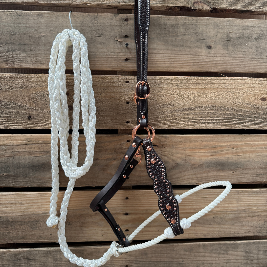 White Honeycomb Tooled Lariat &amp; Leather Combo Halter