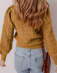 Aria Edge Balloon Sleeve Sweater