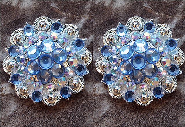 Aquamarine Ab Crystals 1-1/4In Berry Headstall Saddle Hilason