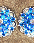 Capri Blue Ab Crystal Berry Headstall Saddle Bling Hilason