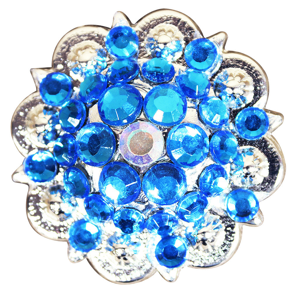 Capri Blue Ab Crystal Berry Headstall Saddle Bling Hilason