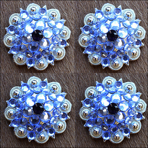 1.25 Inch Amythyst Montana Crystals Berry Silver Bling Saddle Cowgirl