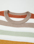 Wrenleigh Colorblock Drop Shoulder PLUS Sweater