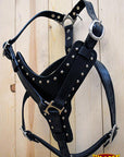 HILASON Genuine Leather Dog Harness Padded Matching Leash Black